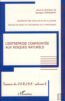 Bertrand.pt - Travaux Du C.E.R.J.D.A T.6 ; L'Entreprise Confrontée Aux Risques Naturels