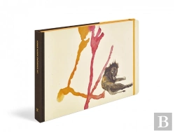 Bertrand.pt - Travel Book Afrique Du Sud