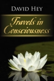 Travels In Consciousness