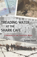Treading Water At The Shark Cafã¯Â¿Â½