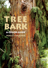 Tree Bark