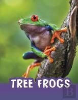Tree Frogs