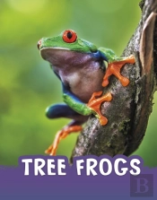 Tree Frogs
