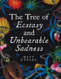 Tree Of Ecstasy And Unbearable Sadness