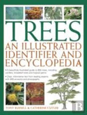 Trees: An Illustrated Identifier And Encyclopedia