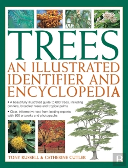 Bertrand.pt - Trees: An Illustrated Identifier And Encyclopedia