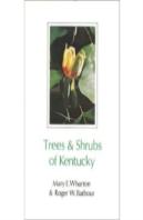 Trees And Shrubs Of Kentucky