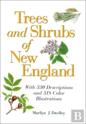 Trees And Shrubs Of New England