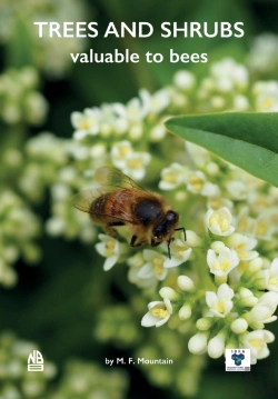 Bertrand.pt - Trees And Shrubs Valuable To Bees