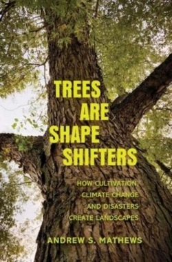 Bertrand.pt - Trees Are Shape Shifters