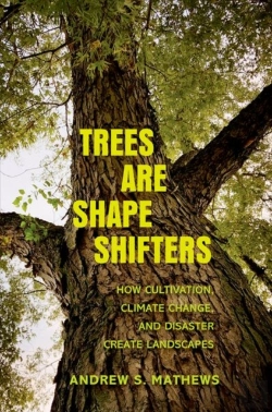 Bertrand.pt - Trees Are Shape Shifters
