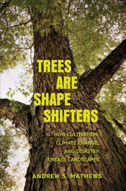 Bertrand.pt - Trees Are Shape Shifters