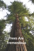 Trees Are Tremendous
