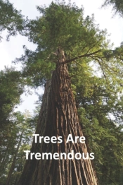 Trees Are Tremendous