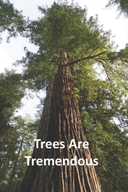 Bertrand.pt - Trees Are Tremendous