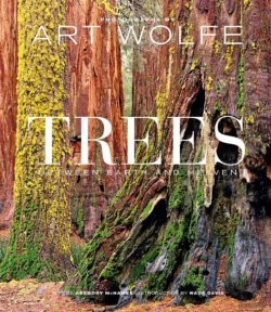 Bertrand.pt - Trees