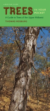 Trees In Your Pocket