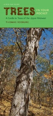 Trees In Your Pocket