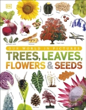 Trees, Leaves, Flowers & Seeds