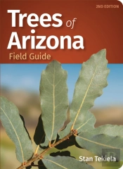 Trees Of Arizona Field Guide