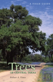 Trees Of Central Texas