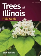Trees Of Illinois Field Guide