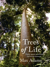 Trees Of Life