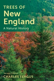 Trees Of New England