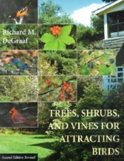Trees, Shrubs, And Vines For Attracting Birds