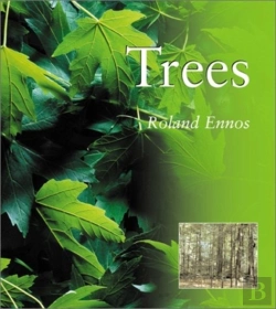 Bertrand.pt - Trees