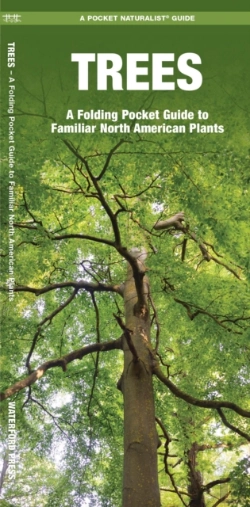 Bertrand.pt - Trees