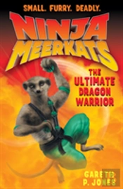 Trials Of Dragon Island 6