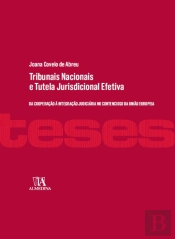 Tribunais Nacionais e Tutela Jurisdicional Efetiva