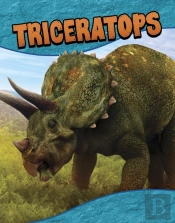 Triceratops