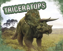 Bertrand.pt - Triceratops
