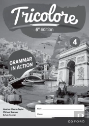 Tricolore 6e Edition: 14-16: Grammar In Action Workbook 4 (Pack 0f 8)