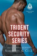 Trident Security Series