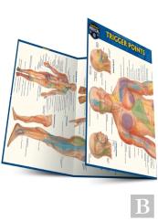 Trigger Points