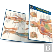 Trigger Points