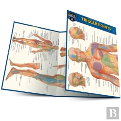 Bertrand.pt - Trigger Points