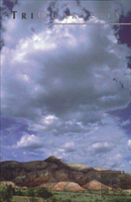 Triquarterly Issue 105