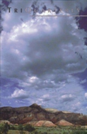 Triquarterly Issue 105