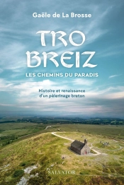 Tro Breiz, Les Chemins Du Paradis : Histoire Et Renaissance D'Un Pèlerinage Breton