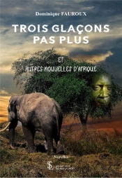 Trois Glaçons Pas Plus Et Autres Nouvelles D'Afrique