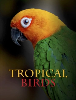 Bertrand.pt - Tropical Birds