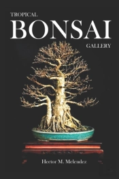 Tropical Bonsai Gallery