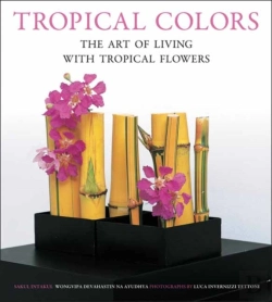 Bertrand.pt - Tropical Colors