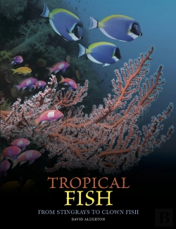 Bertrand.pt - Tropical Fish