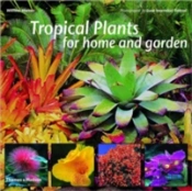 Tropical Garden Plants