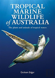 Tropical Marine Life  Of Australia